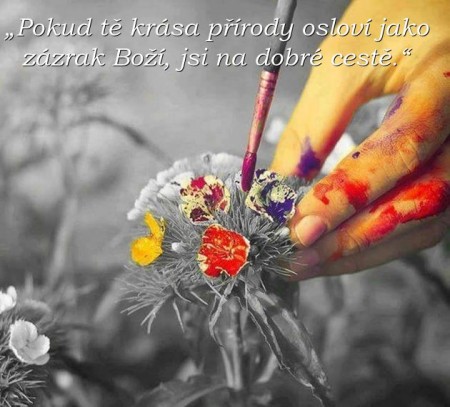 Motta a citty v obrzcch